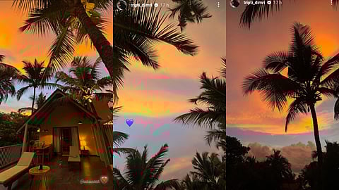 Triptii Dimri's vacay pics